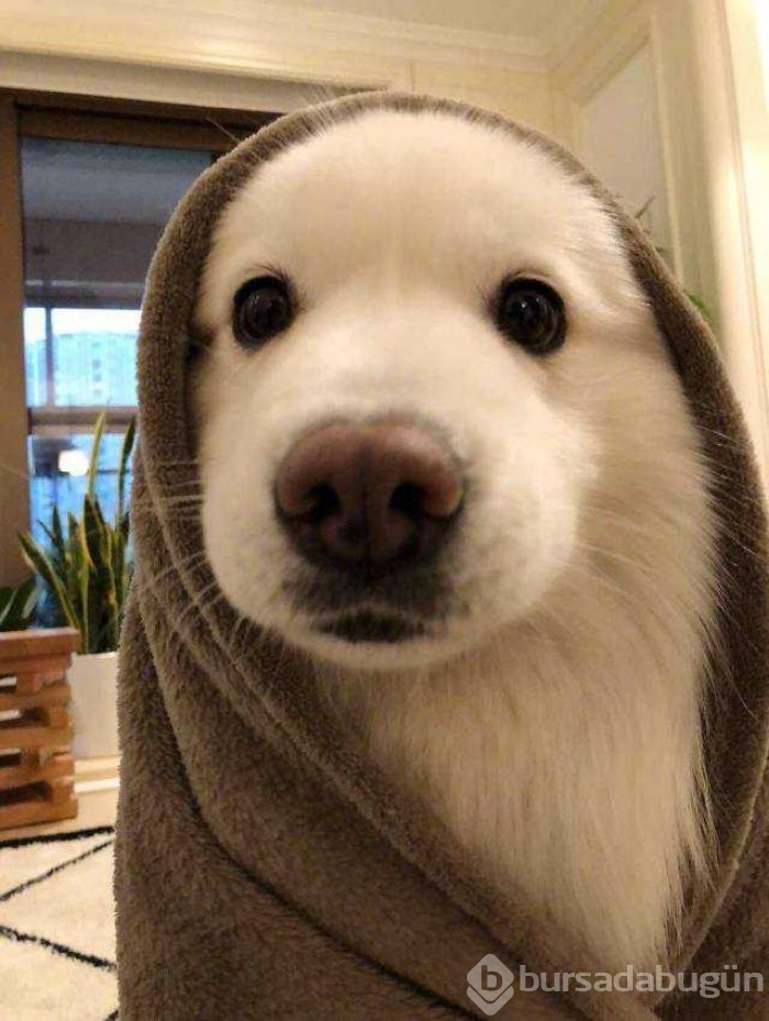 Günün en çok paylaşılan fotoğrafları
