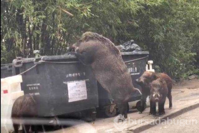 Günün en çok paylaşılan fotoğrafları
