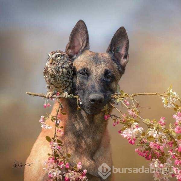 Günün en çok paylaşılan fotoğrafları
