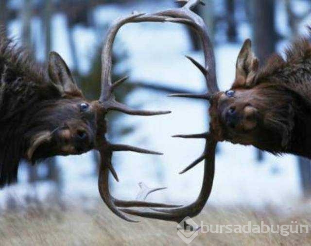 Günün en çok paylaşılan fotoğrafları

