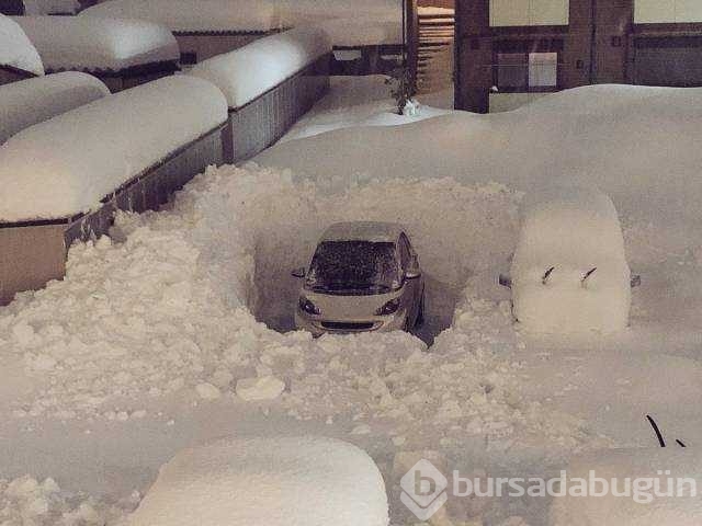 Günün en çok paylaşılan fotoğrafları
