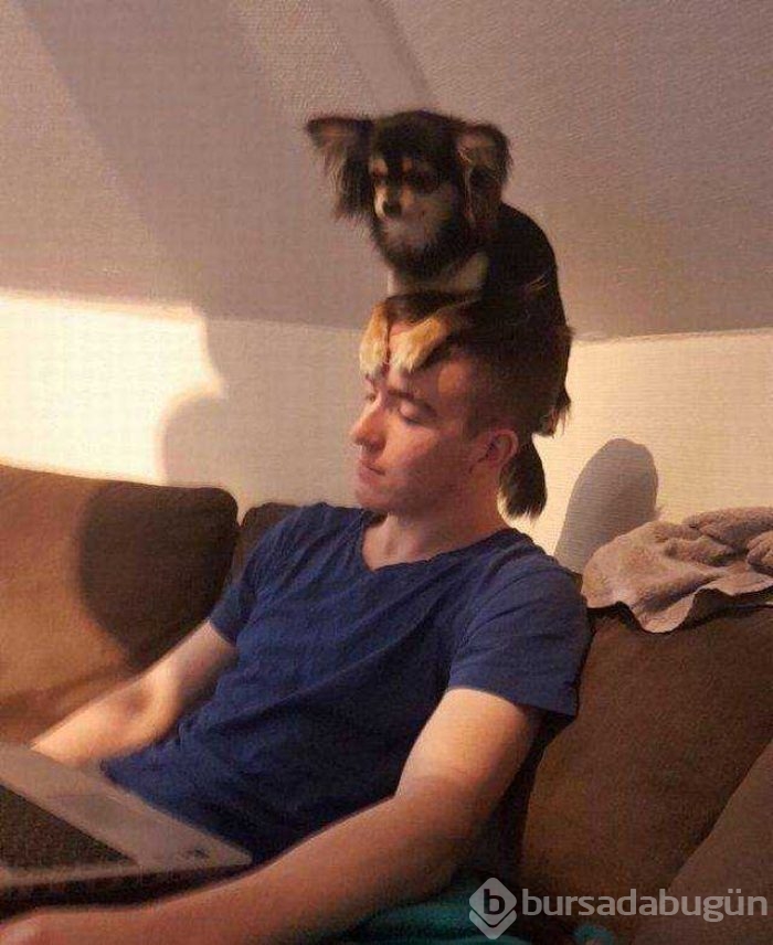 Günün en çok paylaşılan fotoğrafları
