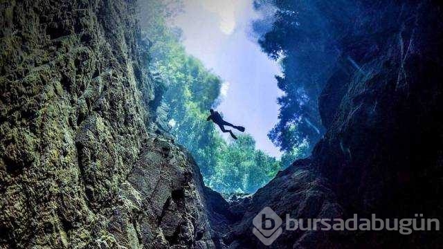 Günün en çok paylaşılan fotoğrafları
