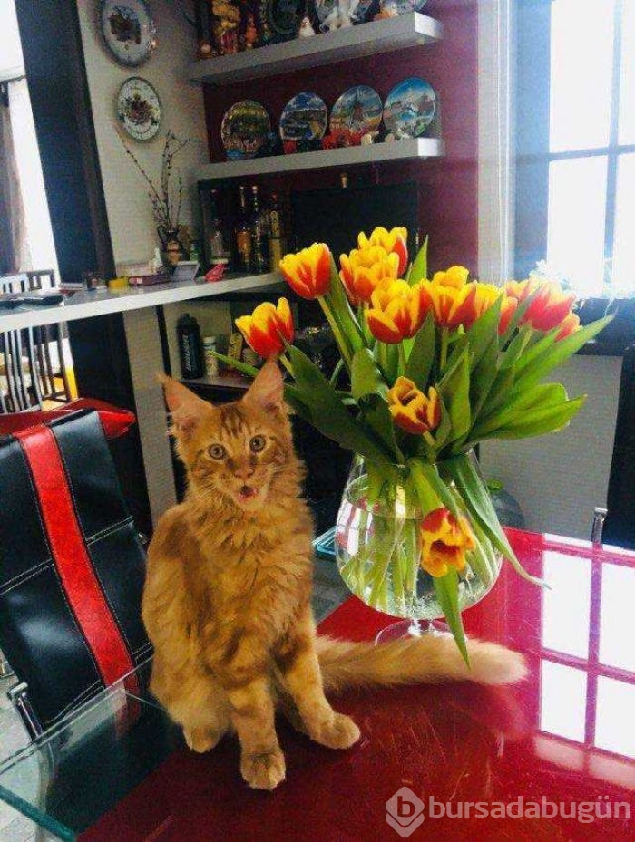 Günün en çok paylaşılan fotoğrafları
