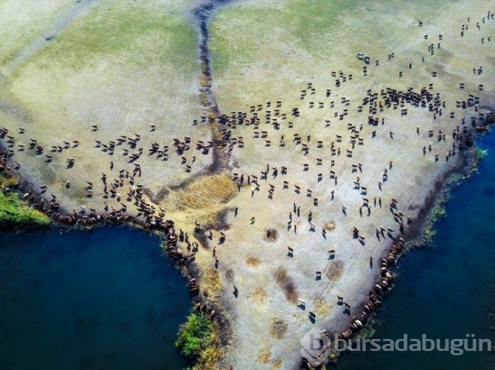 Ağrı Dağı Milli Parkı her mevsim ayrı güzel