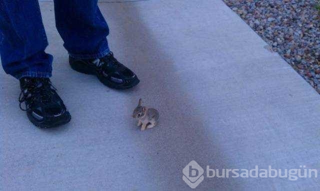 Günün en çok paylaşılan fotoğrafları