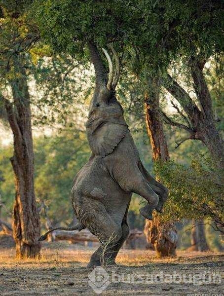 Günün en çok paylaşılan fotoğrafları