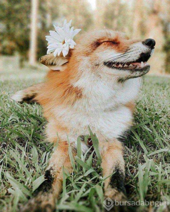 Günün en çok paylaşılan fotoğrafları