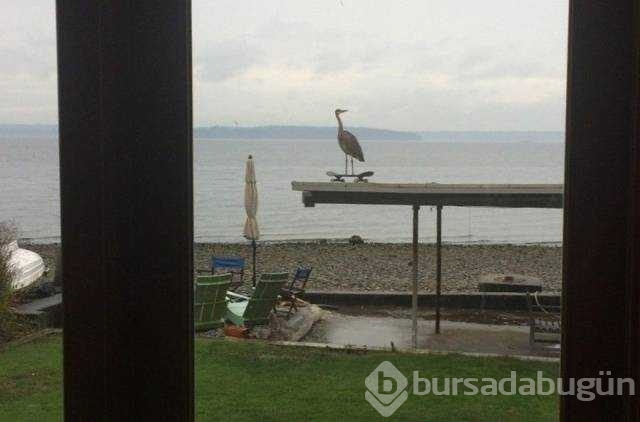 Günün en çok paylaşılan fotoğrafları