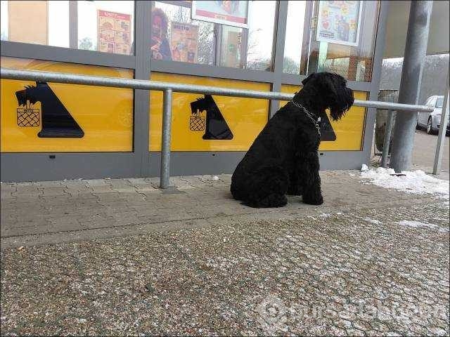 Günün en çok paylaşılan fotoğrafları