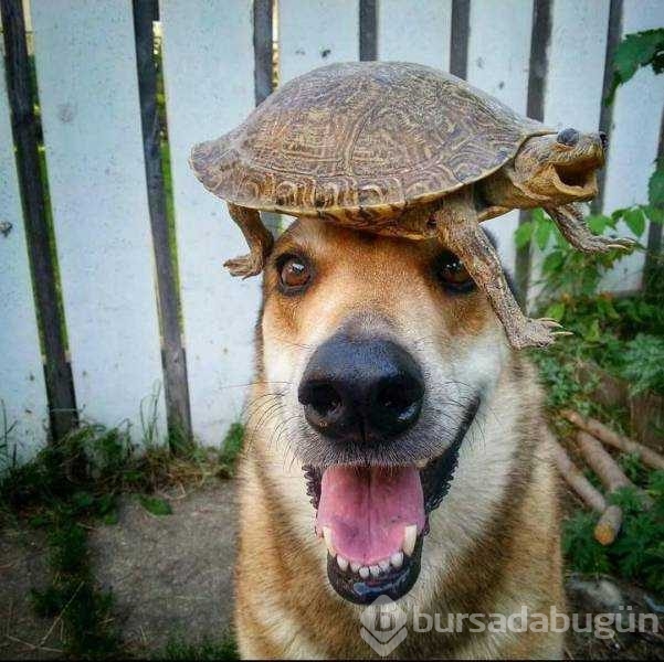 Günün en çok paylaşılan fotoğrafları