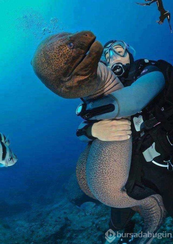 Günün en çok paylaşılan fotoğrafları