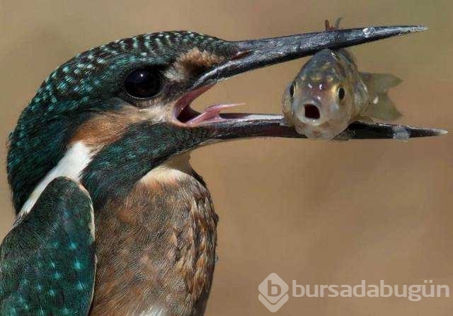 Günün en çok paylaşılan fotoğrafları