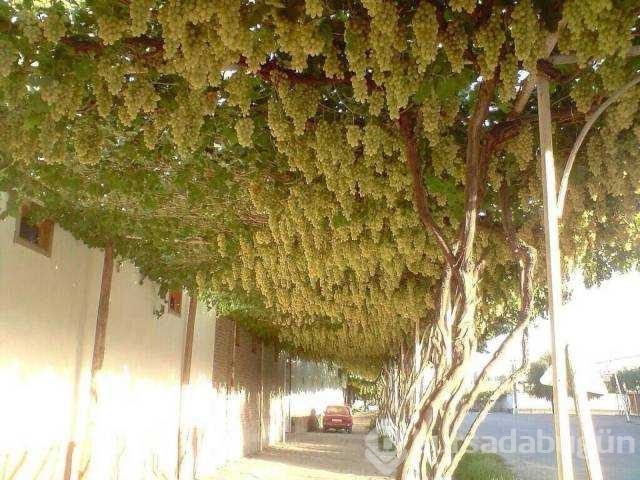 Günün en çok paylaşılan fotoğrafları