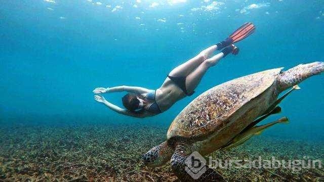 Günün en çok paylaşılan fotoğrafları