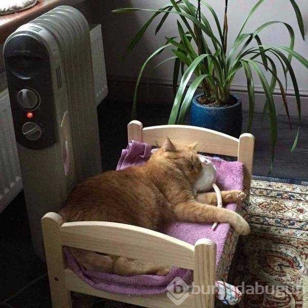 Günün en çok paylaşılan fotoğrafları