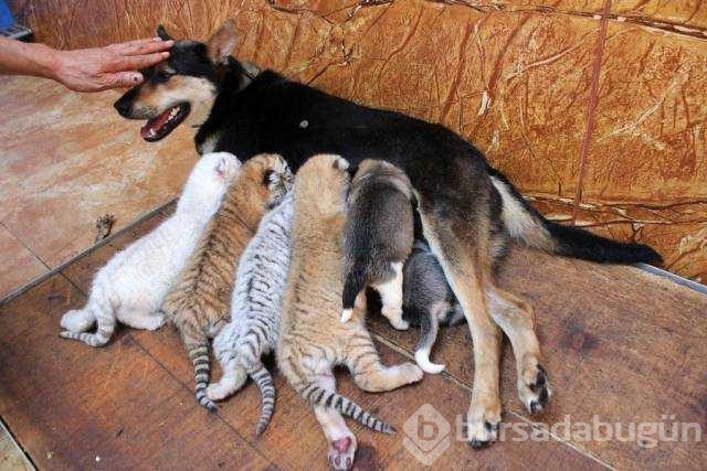 Günün en çok paylaşılan fotoğrafları