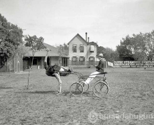 Günün en çok paylaşılan fotoğrafları