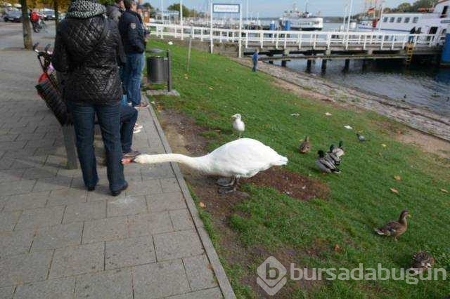 Günün en çok paylaşılan fotoğrafları