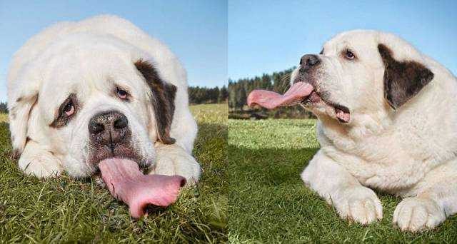 Günün en çok paylaşılan fotoğrafları