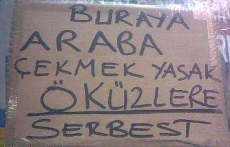 Türkler Google'ın kamerasına yakalandı