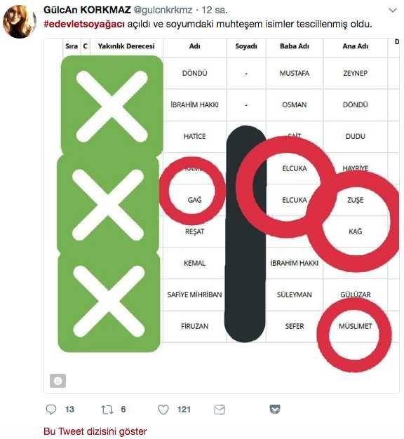 E-devlet soy ağacı öğrendi hayatının şokunu yaşadı 