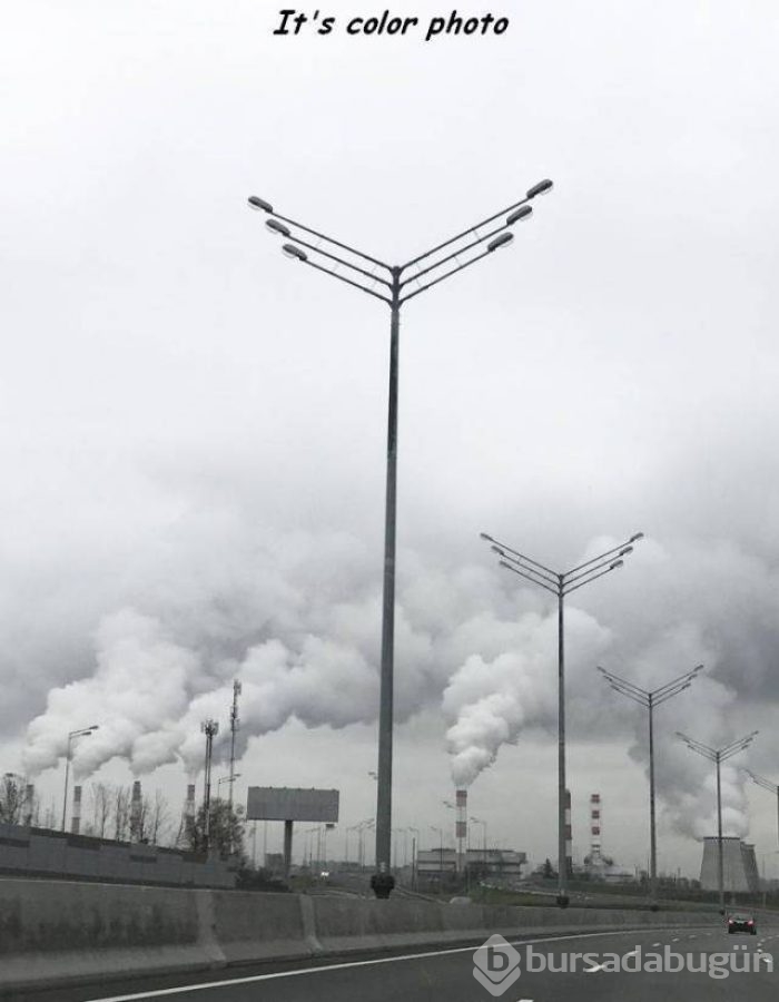 Günün en eğlenceli fotoğrafları