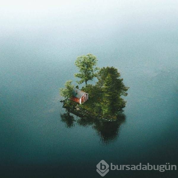 Günün en eğlenceli fotoğrafları