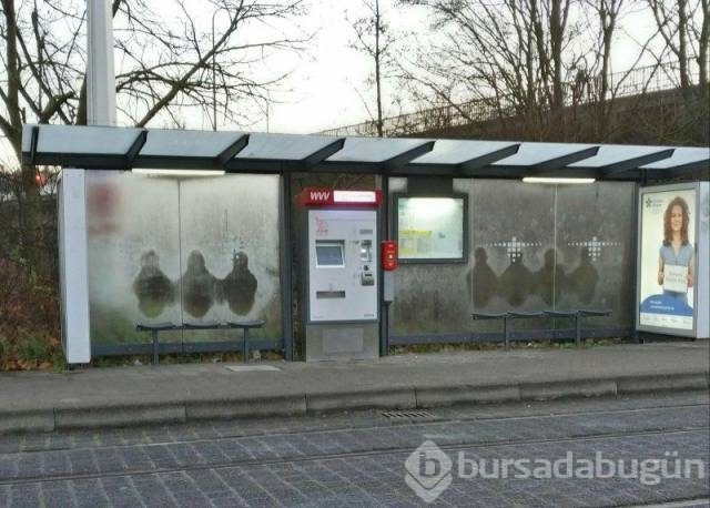 Günün en eğlenceli fotoğrafları