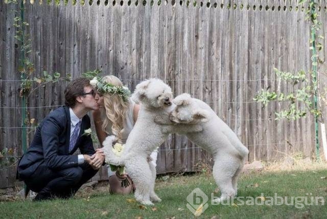 Günün en eğlenceli fotoğrafları