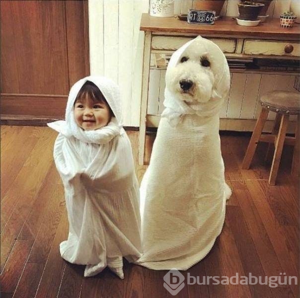 Günün en eğlenceli fotoğrafları