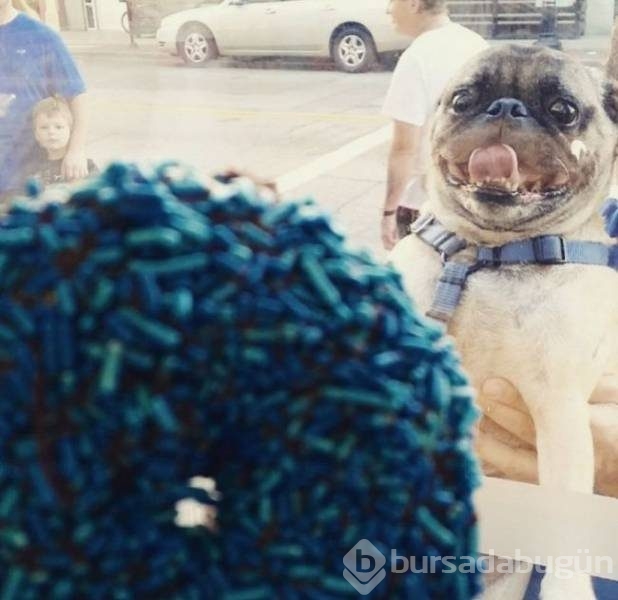 Günün en eğlenceli fotoğrafları