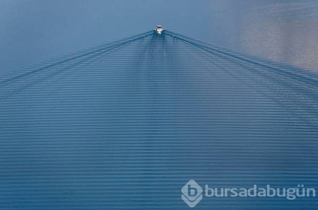 Günün en eğlenceli fotoğrafları