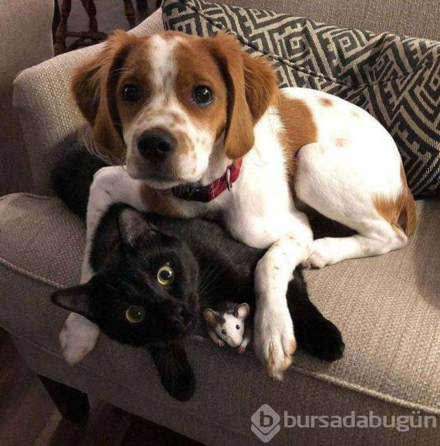 Günün en eğlenceli fotoğrafları