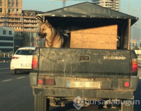 Trafikte karşılaşılan ilginç anlar
