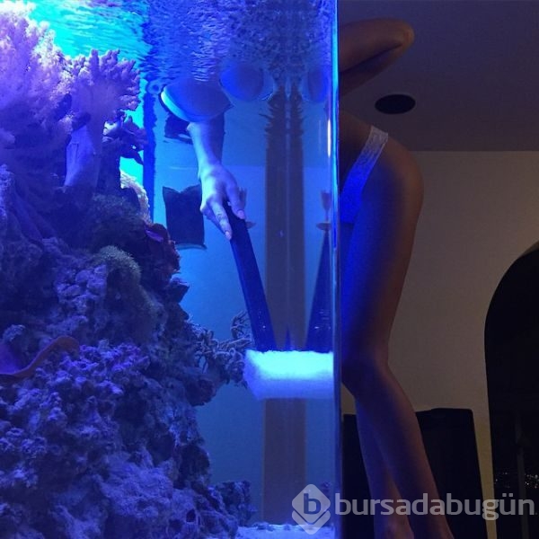 İnstagram'ın İranlı görgüsüz zengini