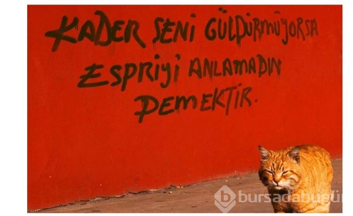 Çukur Dizisinin duvar yazıları