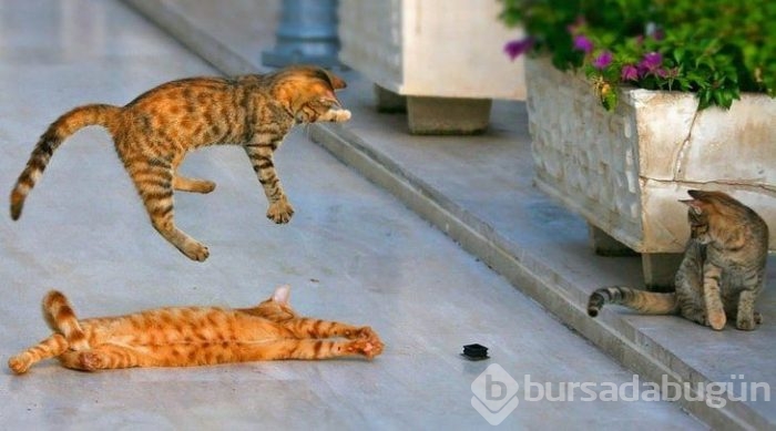 Tam zamanında çekilen fotoğraflar
