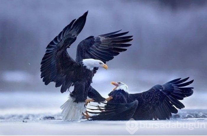 Tam zamanında çekilen fotoğraflar