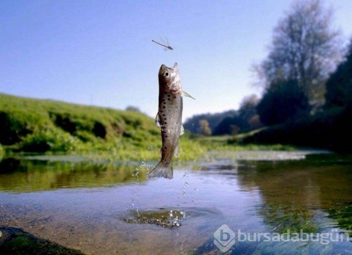 Tam zamanında çekilen fotoğraflar