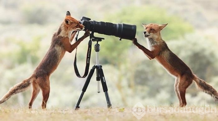 Tam zamanında çekilen fotoğraflar