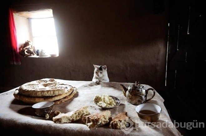 Tam zamanında çekilen fotoğraflar