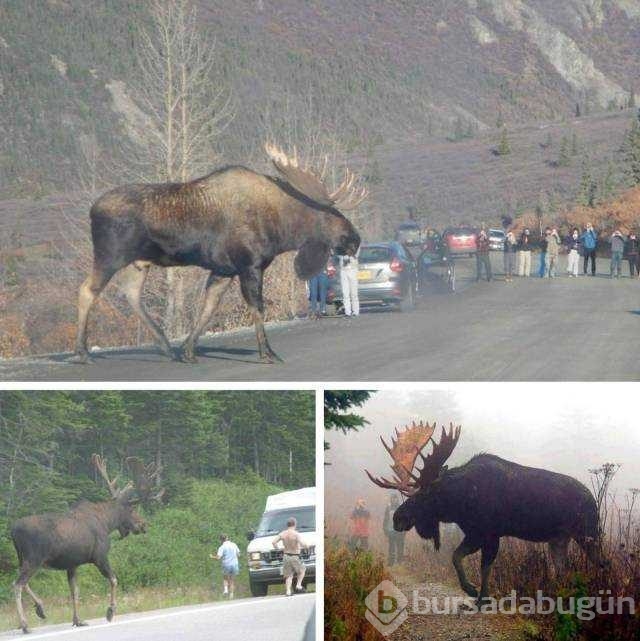 Günün en çok paylaşılan fotoğrafları