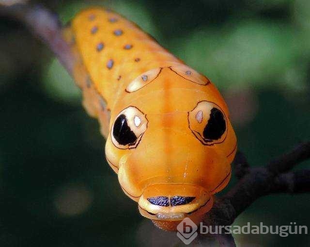Günün en çok paylaşılan fotoğrafları