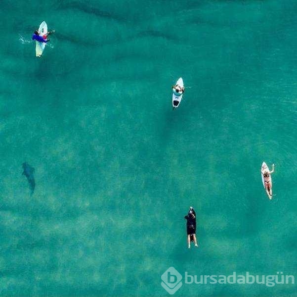 Günün en çok paylaşılan fotoğrafları