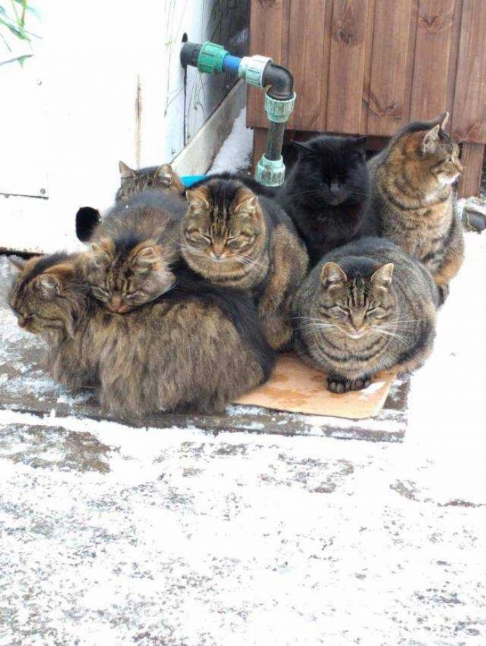 Günün en çok paylaşılan fotoğrafları