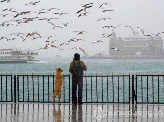 Günün en çok paylaşılan fotoğrafları