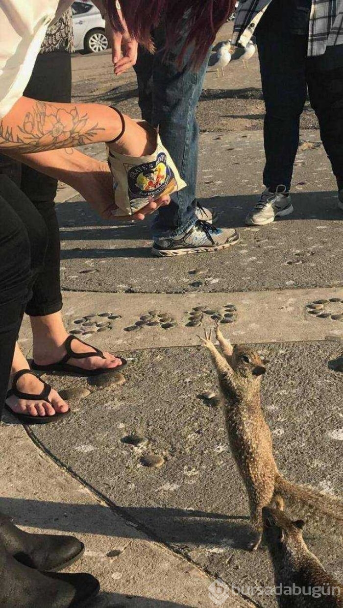 Günün en çok paylaşılan fotoğrafları