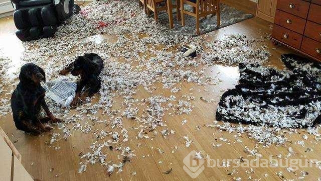 Günün en çok paylaşılan fotoğrafları
