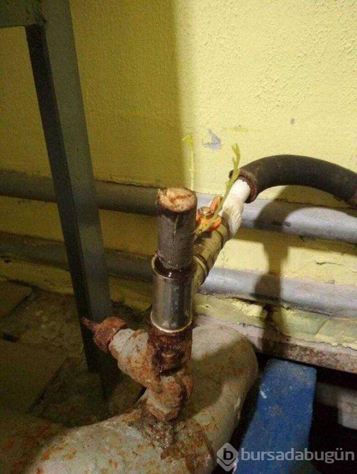 Günün en çok paylaşılan fotoğrafları